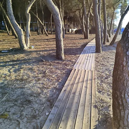 Appartement Seabreeze Nest - Charming Near The Golem (Tirana)